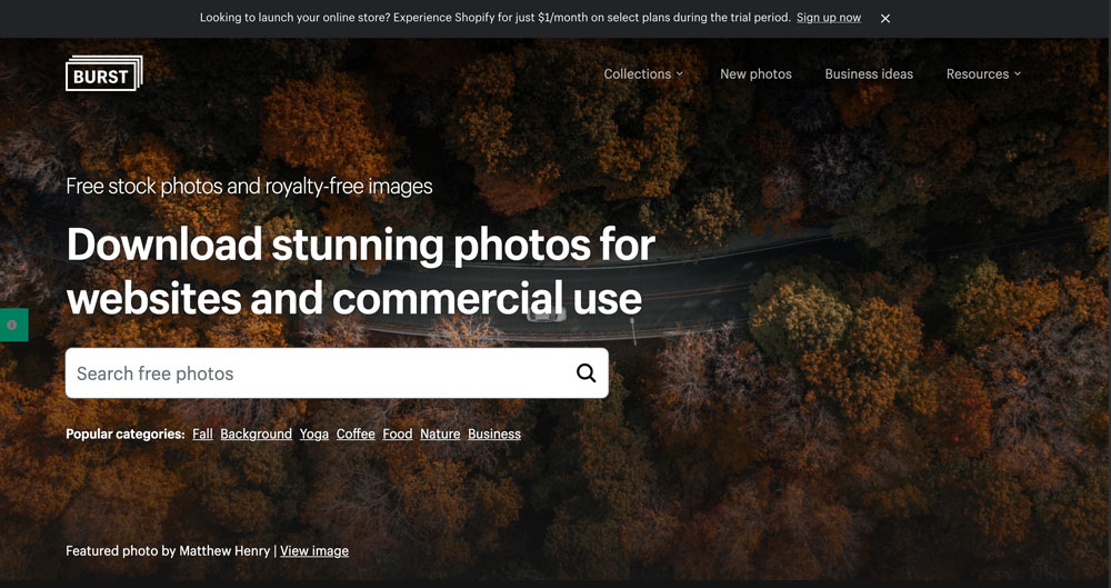Hero banner for Burst stock photos site with an autumn forest background and a prominent search bar for free images.