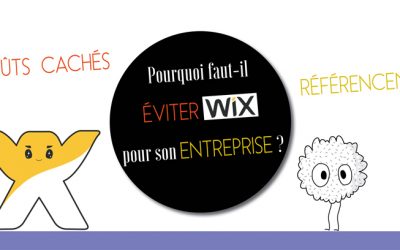 Pourquoi faut-il éviter Wix pour son entreprise ?