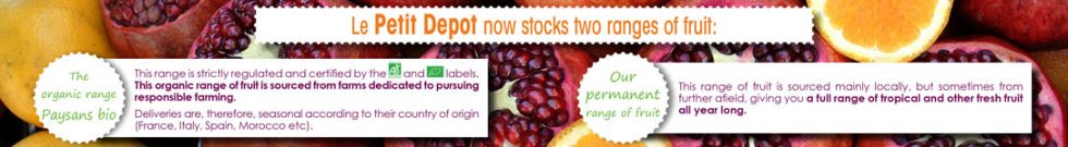 Bannière web Fruits - Le Petit Dépôt par MITAKI DESIGN graphiste webdesigner à Toulouse