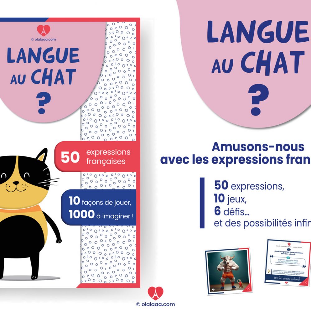 Jeu Langue au chat 50 expressions françaises illustrées