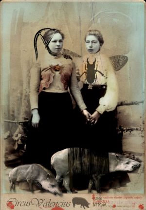 Graphisme : Kaja Renkas - Affiche Cirque Valencius