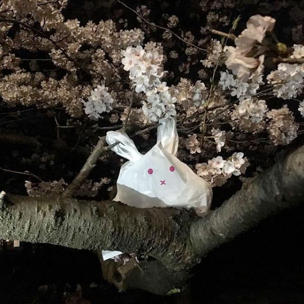 Sac poubelle lapin dans un arbre